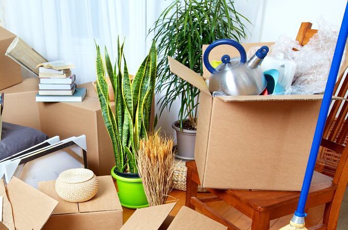 Packers and Movers Shift Plants